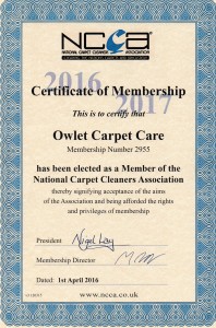 Owlet Carpet Care NCCA 2016