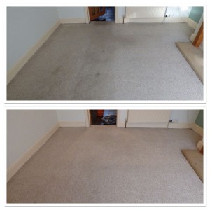 carpet cleaning leeds 1