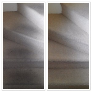 carpet cleaning leeds 3