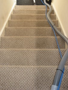 carpet cleaning leeds 3