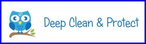 carpet and upholstery cleaning owlet carpet care clean and protect